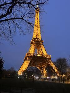 Alumni Awards 2026 at the British Embassy Paris