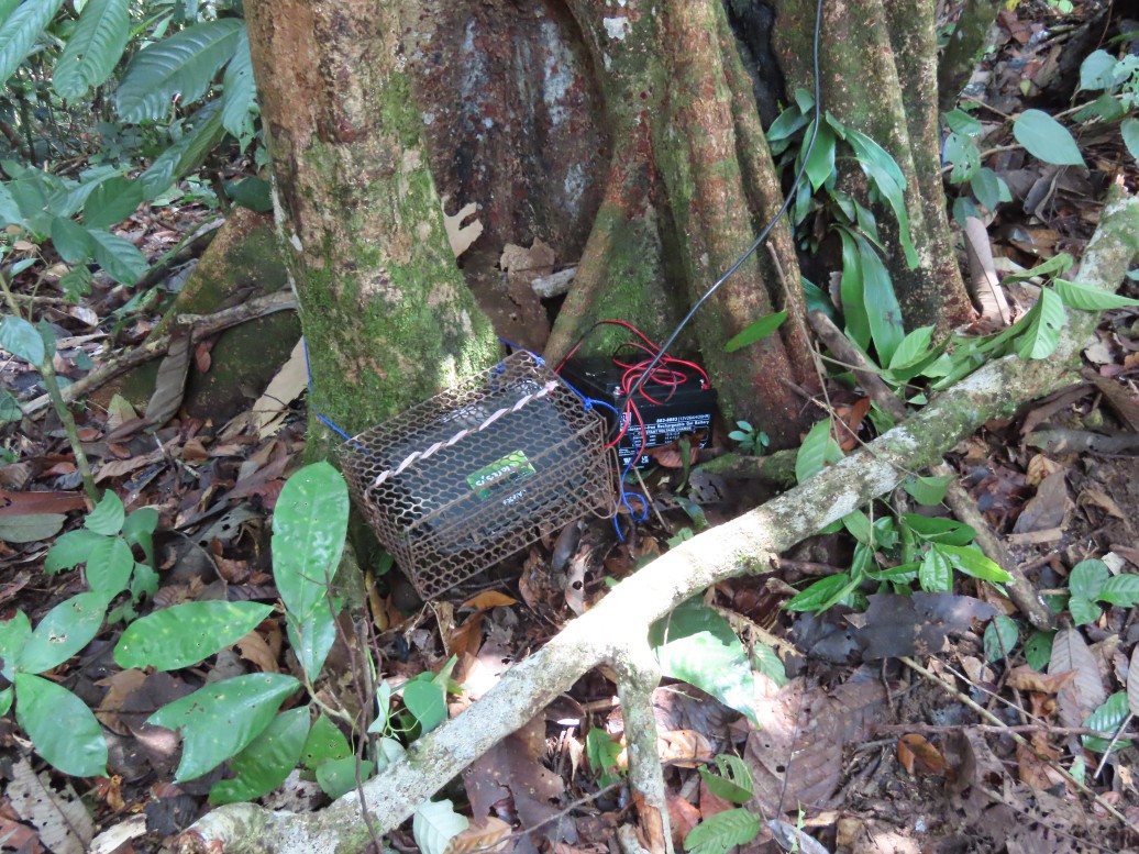 DGFC field research photo 2