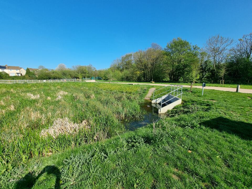 Outlet channel flowing through the Pont-y-felin wetland