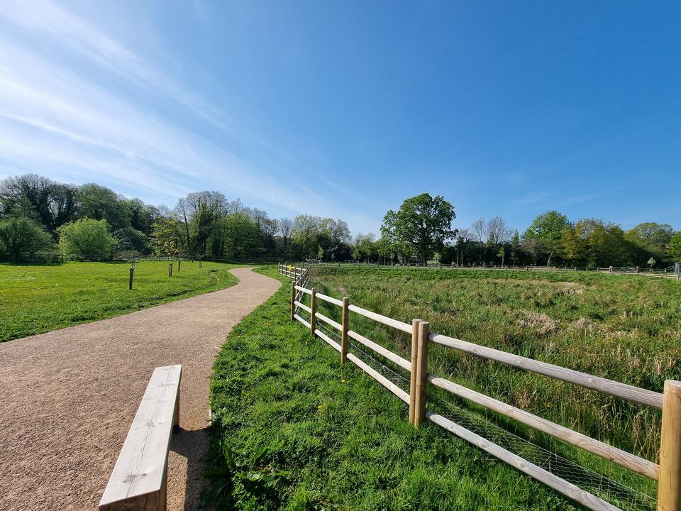 Path and fenced reedbed edge at Pont-y-felin