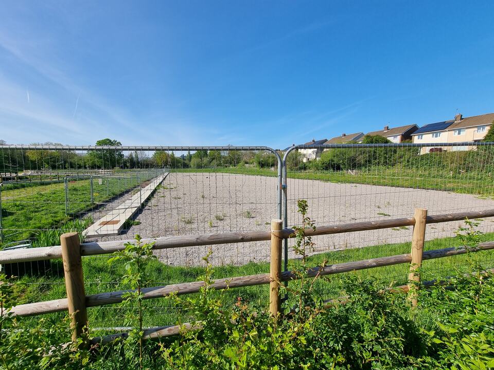 Reedbed area at Pont-y-felin with nearby homes and fencing