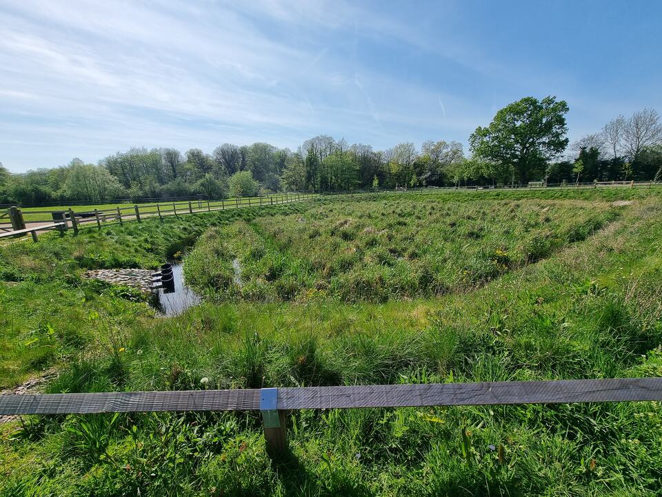 Wetland basin and boardwalk at Pont-y-felin