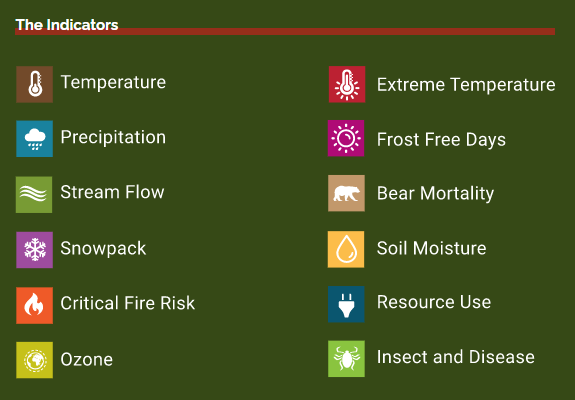 Forest Health Index concept