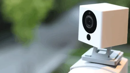 Augmenting Anomaly Detection with Tiny Cameras cover image