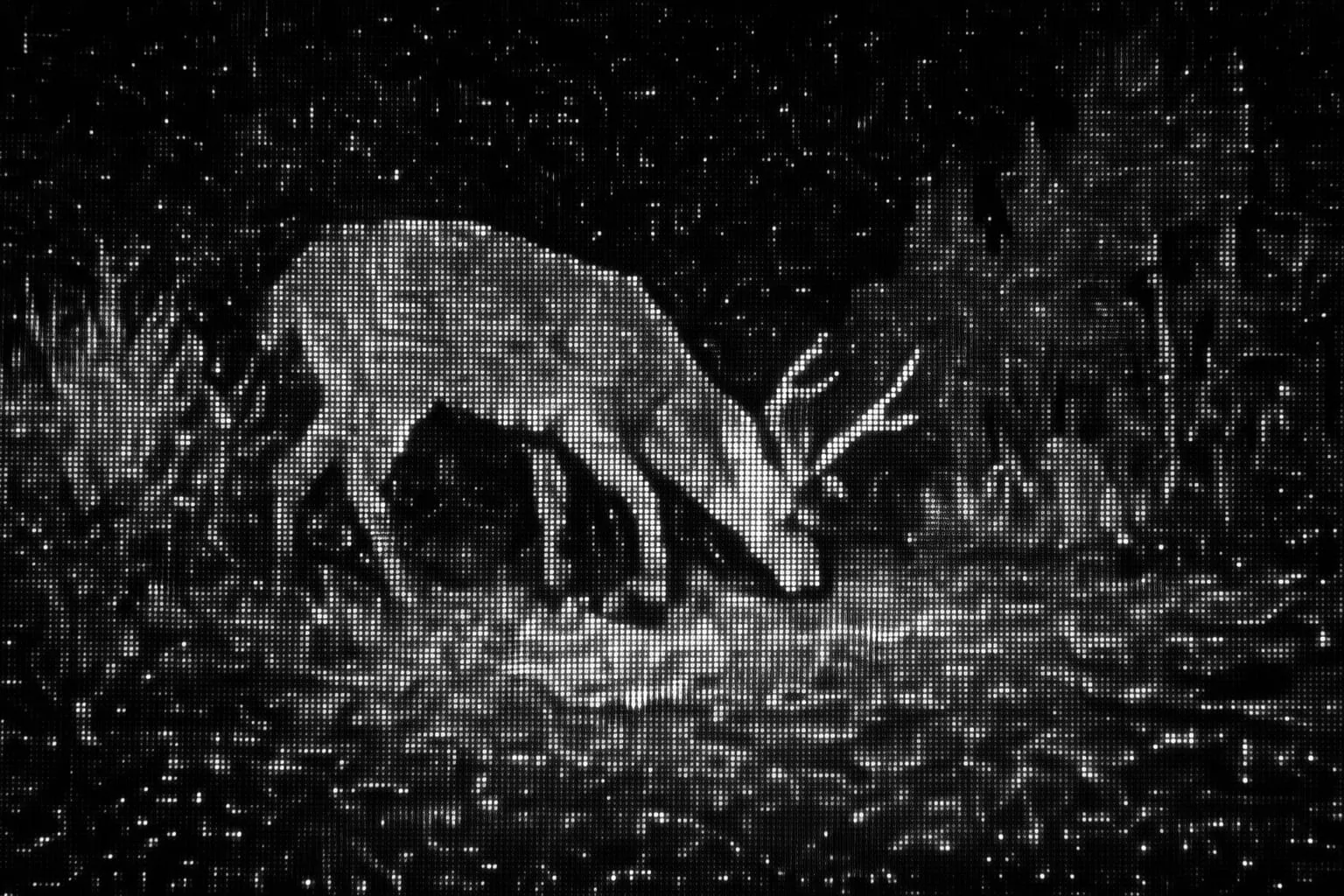 EventCam.AI: Neuromorphic Low-Power Event-Camera Traps for Wildlife cover image