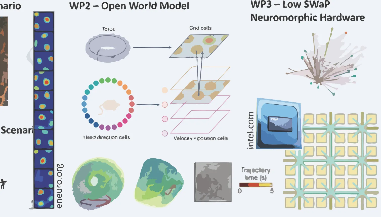 Edgy Organism (2024-2026) cover image