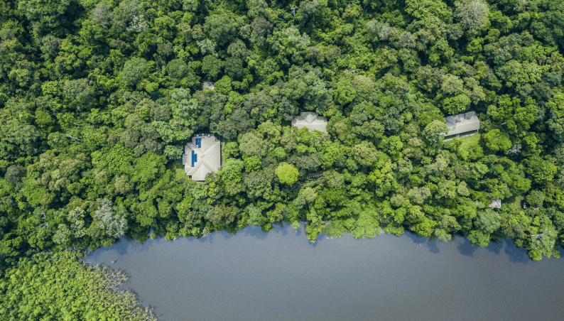 Forest Observatory cover image