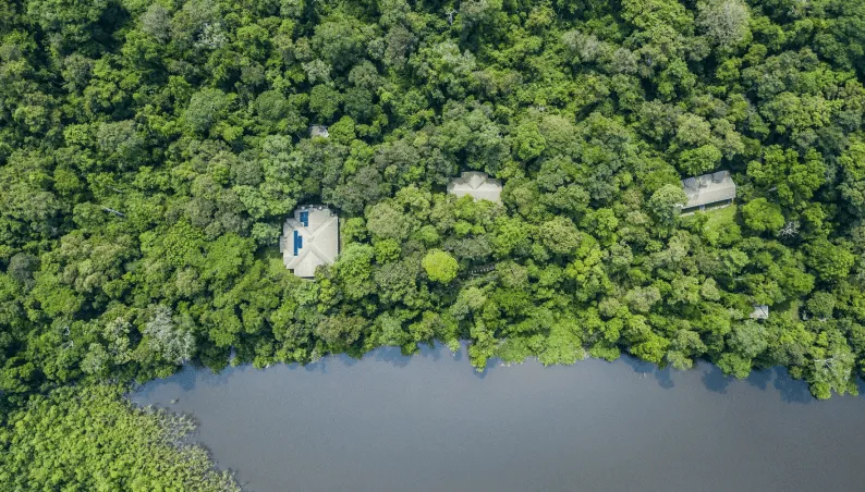 Forest Observatory cover image