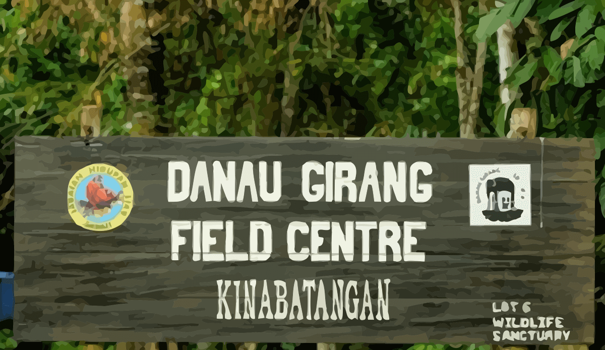 Sustainable IoT Infrastructure for Wildlife cover image