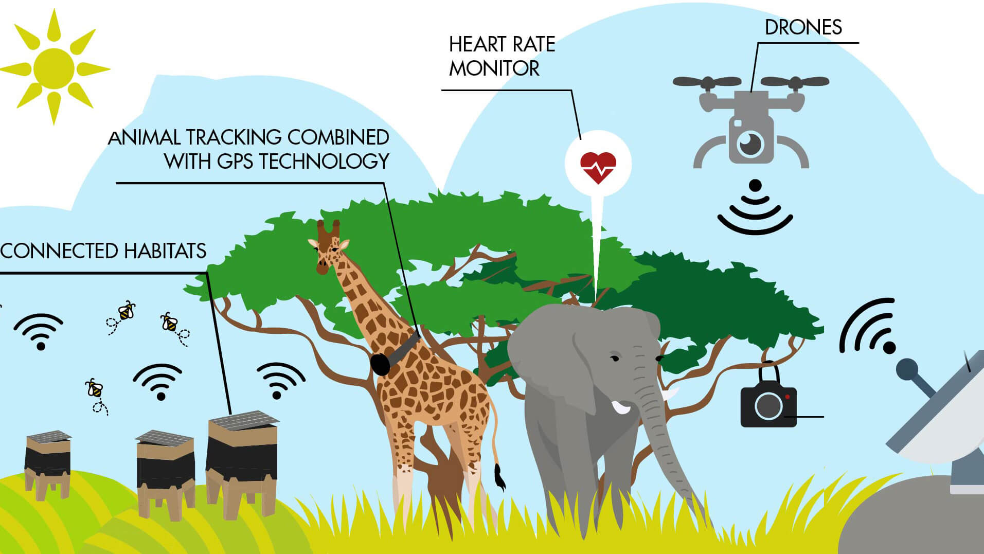 Low Power IoT Infrastructure for Harsh Environments cover image