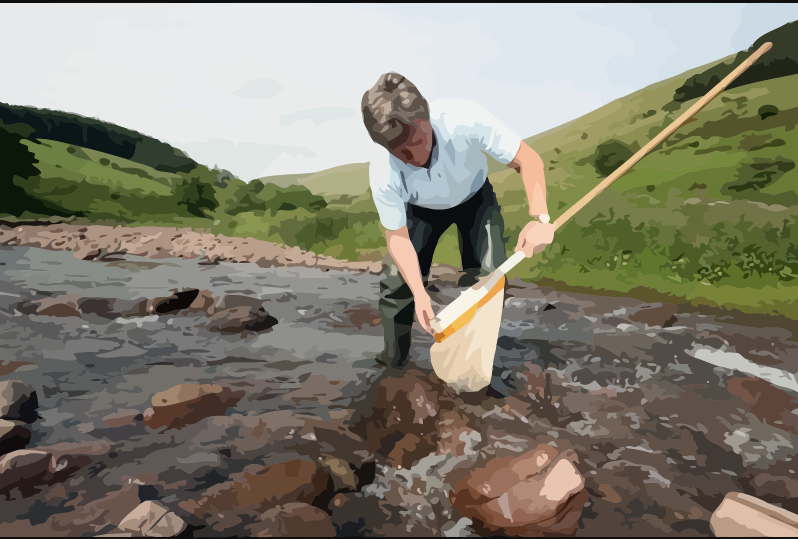 STREAM: Two Rivers' eDNA and Anthropogenic Pollutant Monitoring cover image