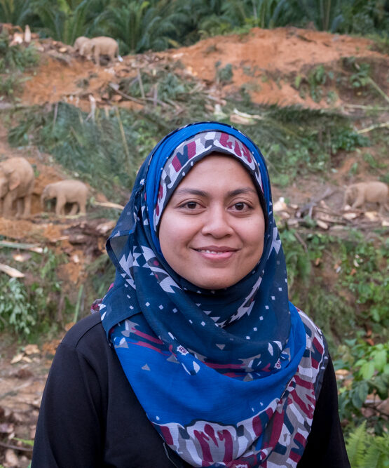 Nurzhafarina Othman